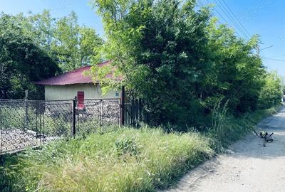 Casa batraneasca + Teren 1430mp, sat Mihai Viteazu, com. V.Tepes, jud. Calarasi - 2