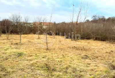 Teren intravilan 470mp | 19m front | Buna Ziua |Zona strazii Macesului - 1