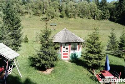 Casă cu 7 camere cu Teren 32000 Mp în Vatra Dornei - 1