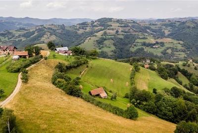 10.335 mp + imobil, splendoare si regasire in mijlocul naturii, Poiana Marului - 12
