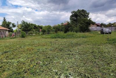Teren de 5000 mp, în Corbii Mari - 6