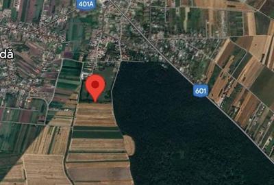 Teren de 4400 mp, în Bolintin-Deal - 4