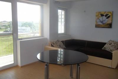 Apartament cu 2 camere semidecomandat, mobilat în Dumbrăvița - 3