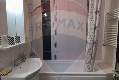 Apartament cu 1 camere decomandat, mobilat în 1 Decembrie 1918 - 5