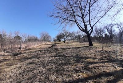 Teren de vanzare in Turda - 4