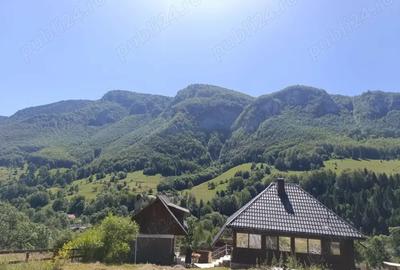 Oportunitate unica: casa de vacanta cu o priveliste de poveste, renovata, in Muntii Apuseni Oportunitate unica: casa de vacanta cu o priveliste de poveste, renovata, in Muntii Apuseni - 2