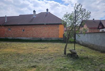 Casă cu 3 camere în Central
