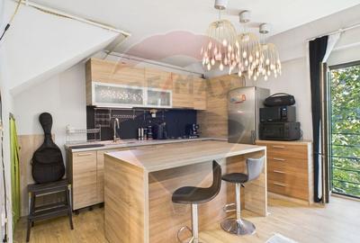 Apartament duplex 3 camere de vanzare in zona Timpuri Noi - 10