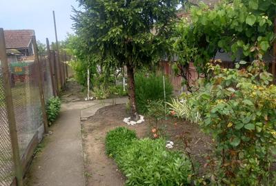 Vand Casa Tormac - 5