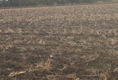 Teren în Brănești - 9