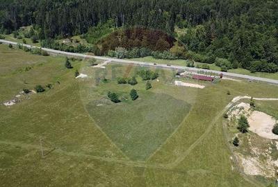 Teren 5,561mp Paltinoasa / Strada principala - 3