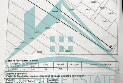 Teren intravilan de vânzare, 2900 mp, în Chinteni! - 4