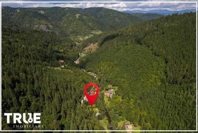 Cabană 160m? utili, teren 2253m?, Salard, Mureș! - 3