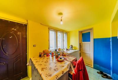 De vanzare casa in Sanicolaul Mic, Ara - 4