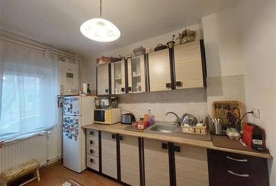 Apartament 2 camere, parter, langa Parcul 23 August Micalaca - 4