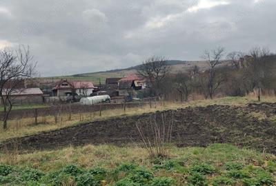 Casa Aghiresu Casa Aghiresu - 1