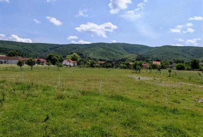 Teren intravilan 7.800 mp Marcu? sau loturi incepand cu 7.000 euro. - 4