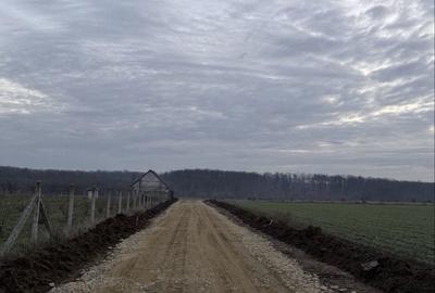 Spațiu comercial, în Păușa - 3