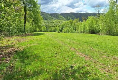 Teren de 46000 mp, în Slatina de Mureș - 8