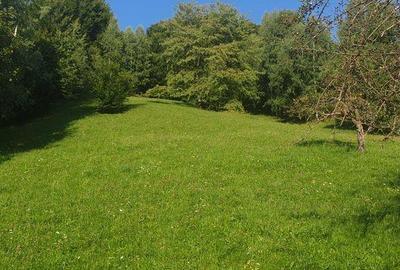 Teren de 4277 mp, în Bran - 3