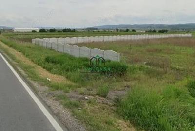 Teren de 2500 mp, în Mihăești - 3