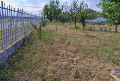 Teren intravilan de vânzare – Viile Satu Mare, 1639 mp, cu utilități - 3