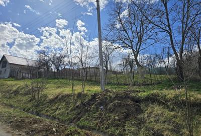 Casă individuală cu 3 camere cu Teren 2876 Mp în Herneacova - 2