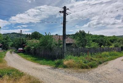 Casă cu Teren 2600 Mp în Central - 5