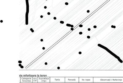 Spațiu comercial, în Muntenii de Jos - 11