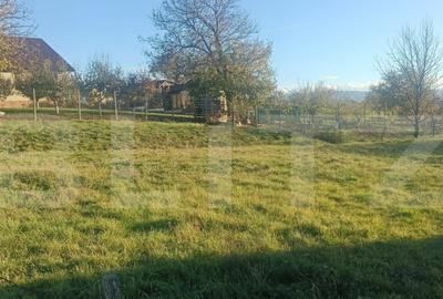 Teren de 712 mp, în Vințu de Jos - 2