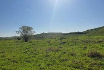 Cota de 1/2 din teren extravilan, comuna Rogova, Jud Mehe... - 2