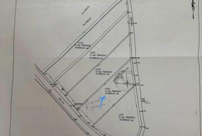 Teren 3000 mp Rasnov DN73A - 3