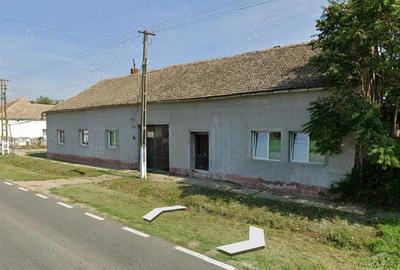 Casă cu 8 camere cu Teren 1250 Mp în Cenad - 5