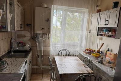 Apartament cu 2 camere semidecomandat în Gojdu - 4