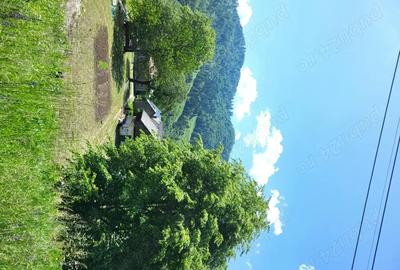 Casă cu 3 camere în Tarcău - 4