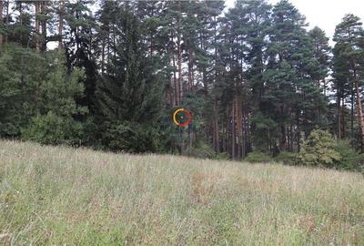 Teren intravilan cu PUZ si PUD 2 loturi - 6