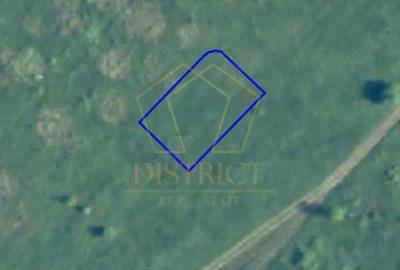 Teren de 650 mp, în Dumbrăvița