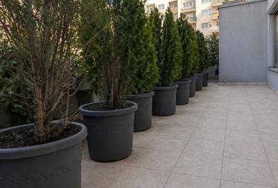 Apartament cu 3 camere decomandat, mobilat în Barbu Văcărescu - 5