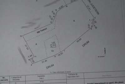 Teren Construcții intravilan de 5500 mp, în Cavadinești