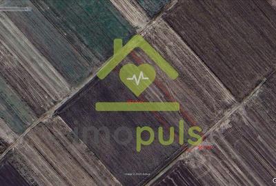 ? Teren extravilan la Pesac de 5.000 mp (1,4 euro/mp)? - 1