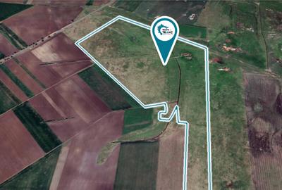 Teren pasune de 42,5 ha, comasat 100% pretabil pentru parc fotovoltaic - 2