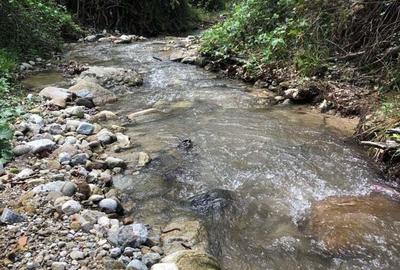Teren Zona Turistica Transalpina - Pestera Muierilor 9.746 mp - 9
