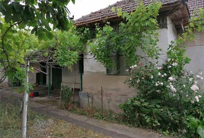 Casă în Vârtop - 4