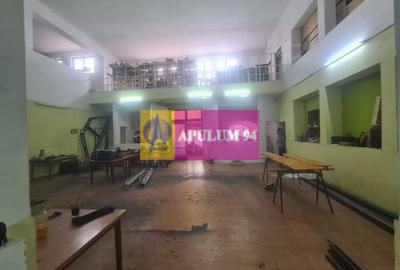 Spatiu comercial de vanzare in Campina - 28