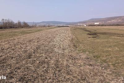 Teren de 1500 mp, în Cetate - 1