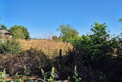 Spațiu comercial, în Central - 1