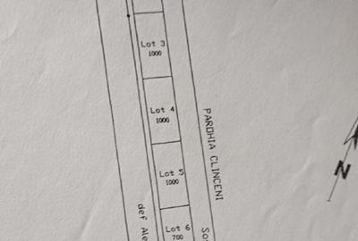 Domnesti Fortului 500-1000mp - 3