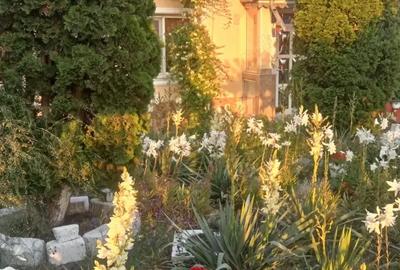 Casă cu 3 camere în Secu - 1