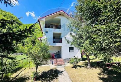 Pensiune + Vila pe malul raului Lotru-Malaia,Valcea - 4