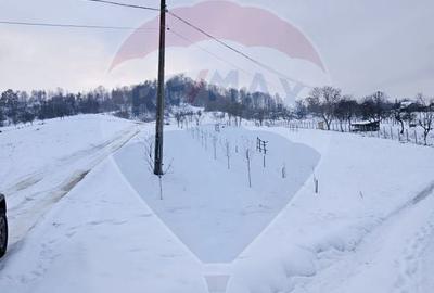 Teren agricol extravilan de 4301 mp, în Bârsana - 4